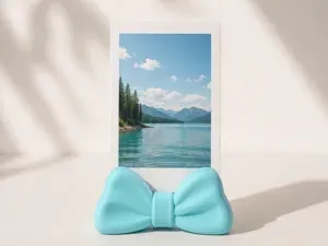 Bow Polaroid stand/Instax Mini Photo Holder@DUDU
