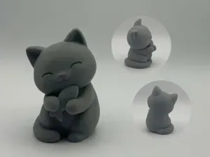 Fishy Hug Cat