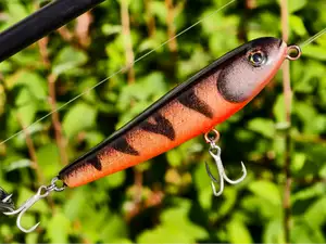 Print->Knot->Fish! Easiest Topwater fishing lure