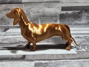 sausage dog wiener dachshund doxie model
