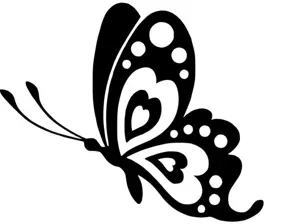 Butterfly with heart