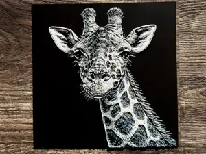 Giraffe Wildlife Series