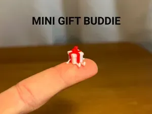 Mini Gift Buddy