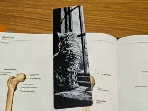 Cat on the Window - Bookmark