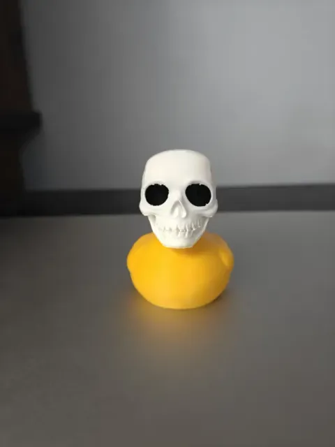 Skull Duck — Фото 2 из 2