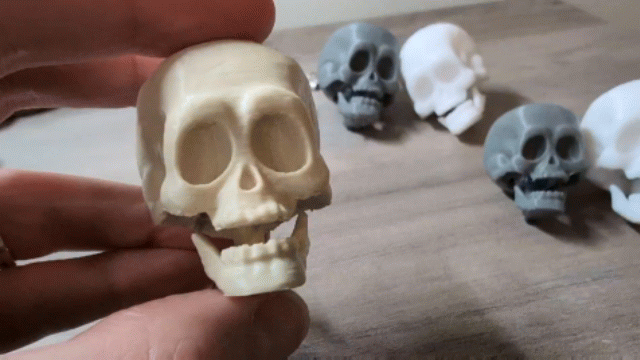 Skull Keychain Fidget Clicker -Fun Jaw Click Sound