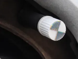 Custom Tire Valve Cap (Easy Print)