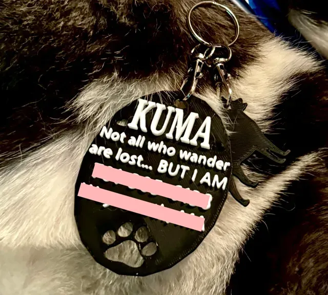 Custom Dog Tag, Pet Name Tag — Фото 4 из 4