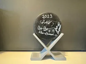 Hockey Puck Display
