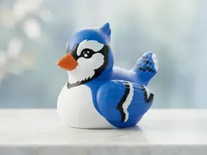 Blue Jay Duck, Birdie Duck, Cruise Jeep Duck