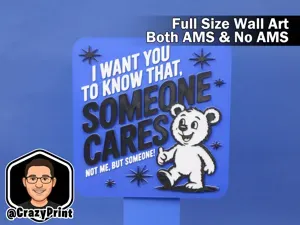Sarcastic SOMEONE CARES wall art / Sign- No AMS