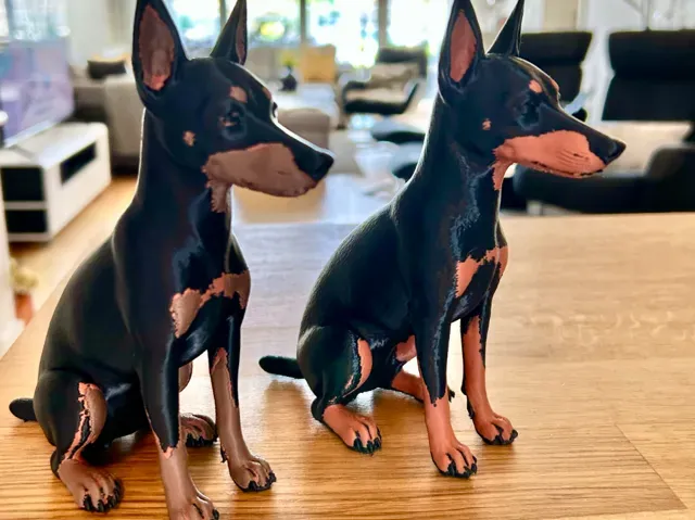 Toy Terrier