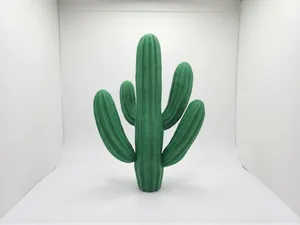 Cactus del deserto - Flowers