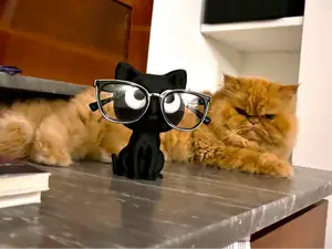 Cat eyeglass holder