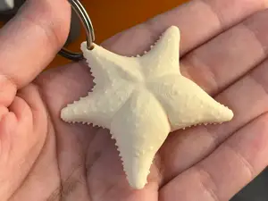 Estrella Culona Conicet Argentina