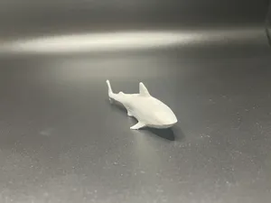 Simple Great White Shark