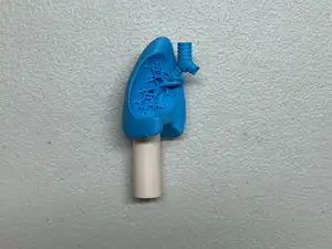 Big Brick * Lung