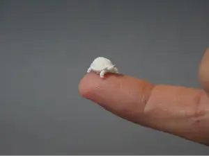 Вулканы Камчатки: 3D-модели и STL для принтера