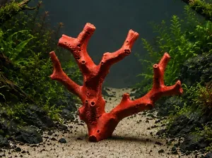 Corallium Rubrum Coral Branch #2 - Aquarium Decor