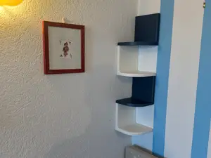 Modular Corner Wall Shelf with Hidden Mount