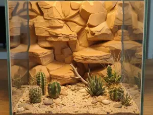 Aquarium Terrarium Desert Stone 3D Background