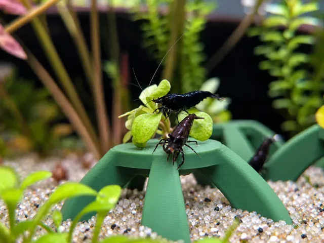 Aquarium Habitat — Shrimp Canopy — Фото 3 из 8