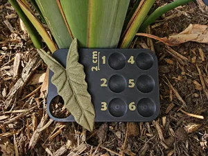 Rhizomboard mit 2-cm-Maßstab