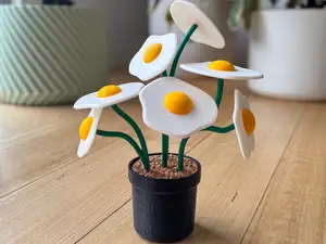 Fried Egg Plant