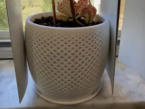 Modern Geometric Lattice Planter Pot 4.5 inch