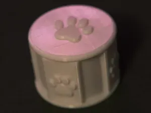 Dog Paw Container with a lid
