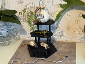 Craft Fair Display Stand Shelf Small
