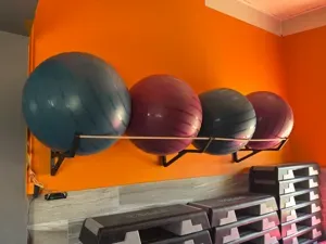 Modular Bobath Ball Wall Rack system