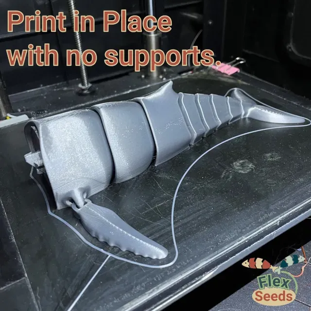 Flexi Humpback Whale - New Type(print-in-place) — Image 8 of 15