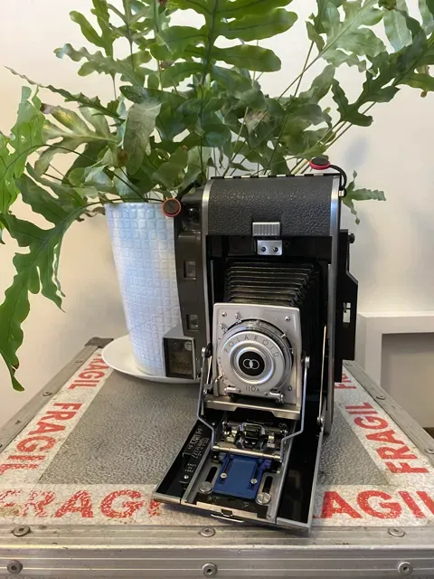 Polaroid 110 4x5 Conversion — Фото 5 из 7