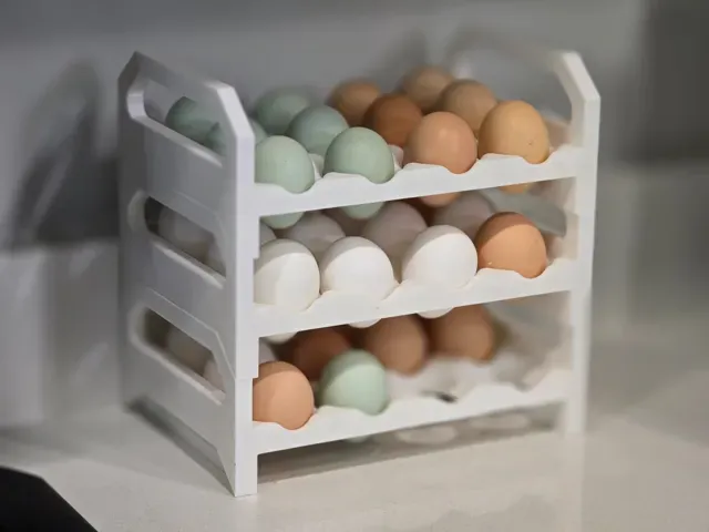 Stackable Dozen Egg Tray