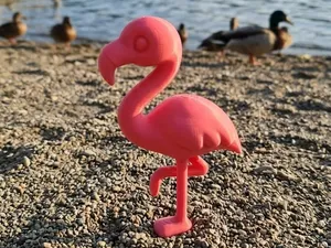 pink flamingo