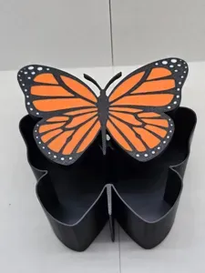 Butterfly Box