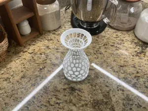 Vorinolii vase