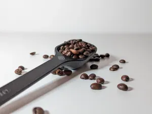 Timemore Coffee Bean – Spoon / Scoop / Measuring
