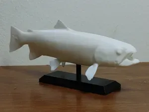Rainbow Trout Fish Mount 2