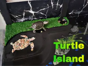 Turtle Island