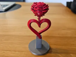 Heart Rose