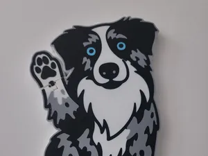 Aussie Flexi Blue Eyes