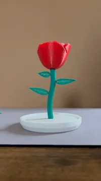 Rose under Glass | Display Dome | 2L Soda Bottle — Image 2 of 5