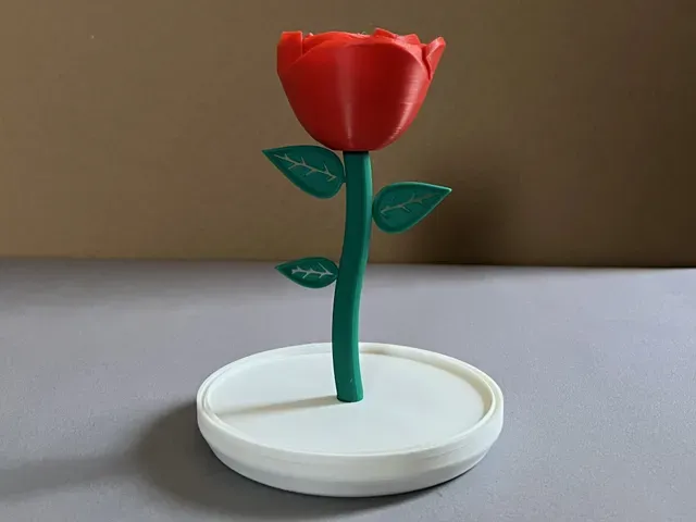 Rose under Glass | Display Dome | 2L Soda Bottle — Image 3 of 5