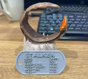 S.T.A.L.K.E.R. 2 artifact - Cavity