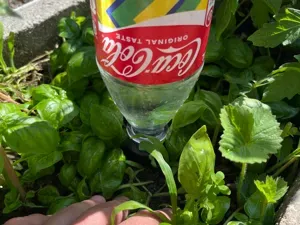 Plant Watering PET Bottle Irrigation Plant Amo
