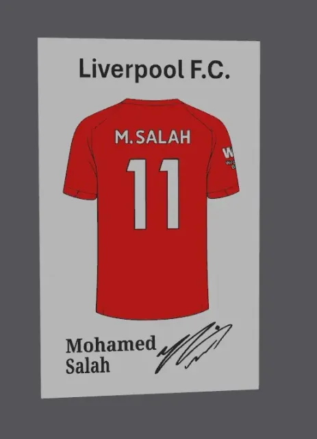 Liverpool FC Mohamed Salah jersey display — Фото 6 из 6