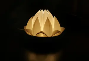 Lotus flower fixture - LED Kit 001