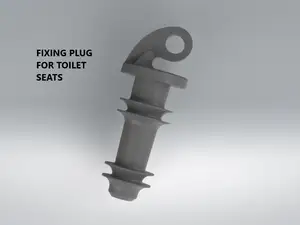 Fixing plug for WC